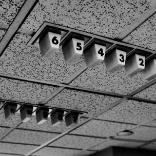 'Bingo' by Zack Schuster